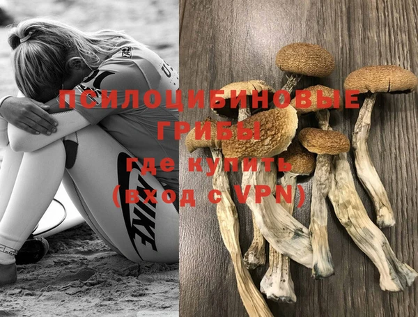 метадон Ростов